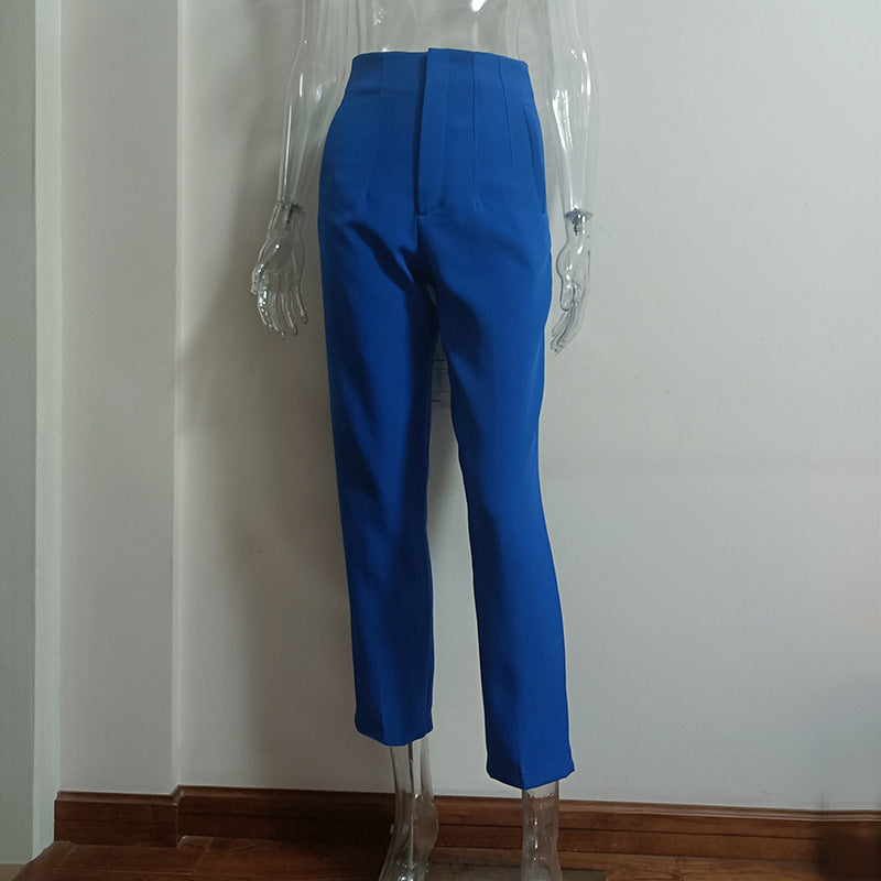 Lux Pleated High Waist Trousers Everyday Chic