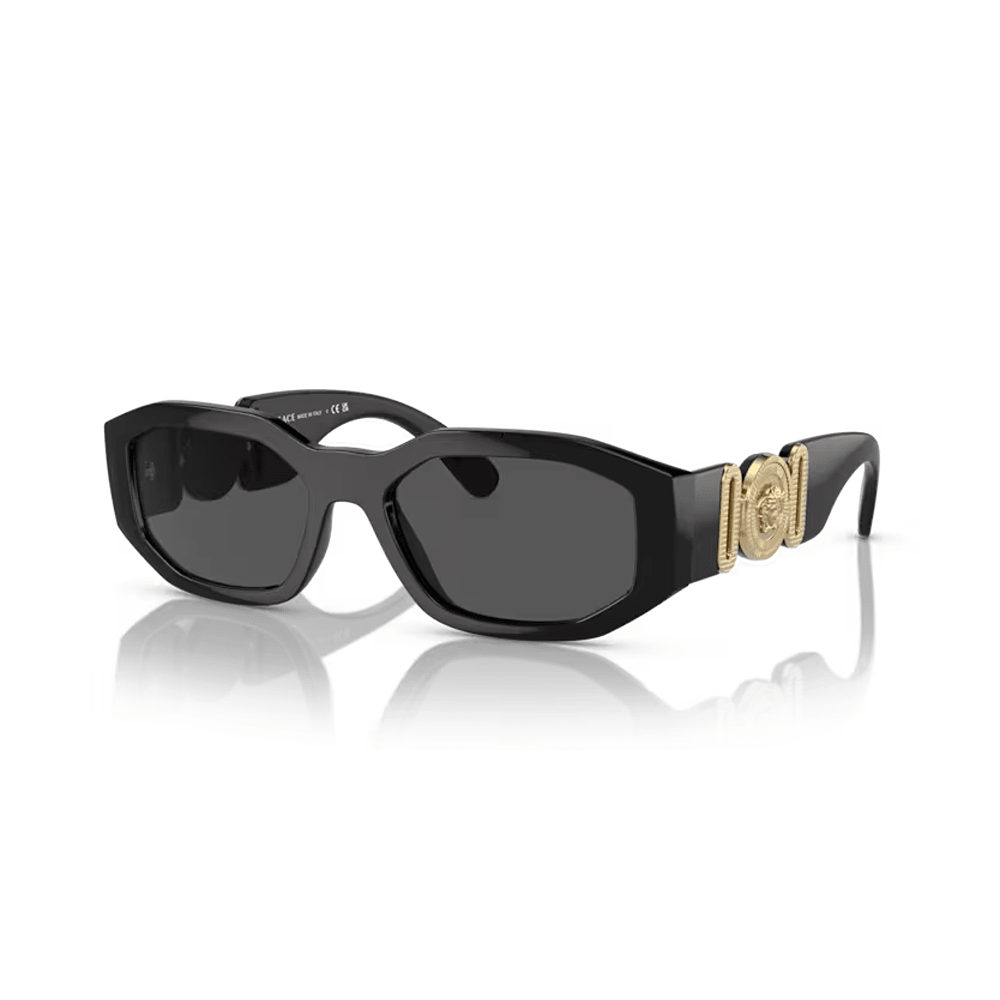 Rectangular Frame Sunglasses with Wide Temples and Decorative Side Detail